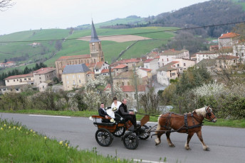 Mariage - Marlène TRUCHET Photographe