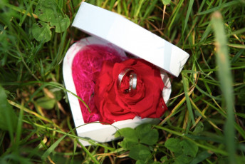 Mariage - Marlène TRUCHET Photographe