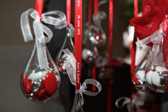 Mariage - Marlène TRUCHET Photographe