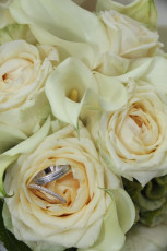 Mariage - Marlène TRUCHET Photographe